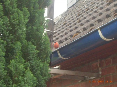 RIMG0018.JPG