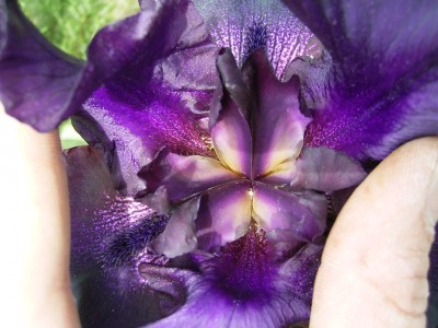 RIMG0153.JPG