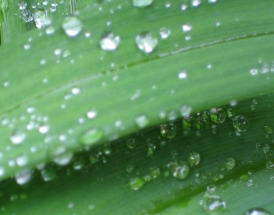 20100514_0001_4.JPG