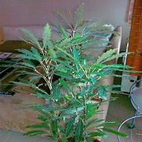 14052010027.jpg