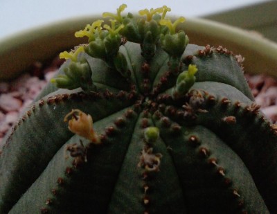 P1627_14-05-10 (2).jpg