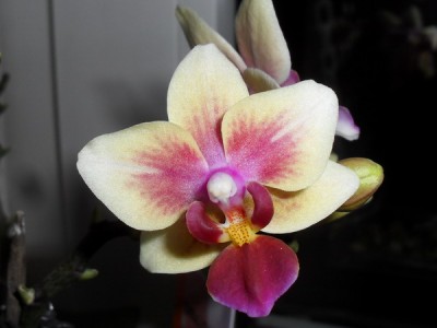 SDC13339_Bildgröße ändern.JPG