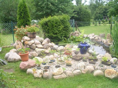 SANY0020.JPG