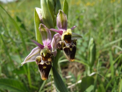 DSCF6762.JPG