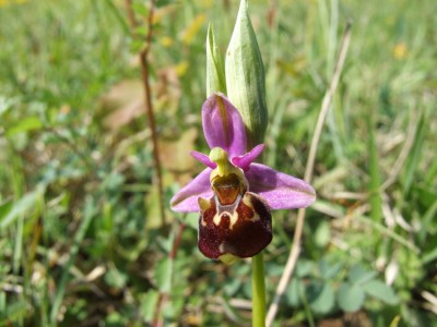 DSCF6760.JPG