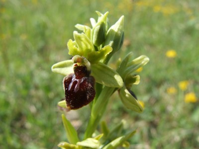DSCF6748.JPG