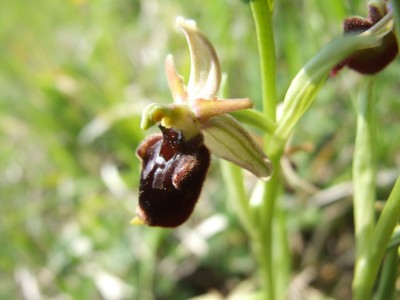 DSCF6729.JPG