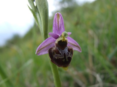 DSCF6838.JPG