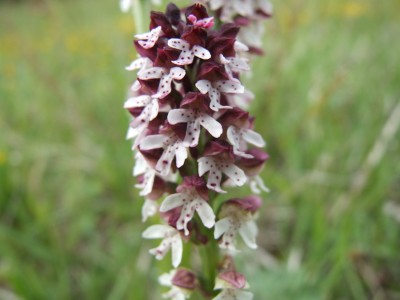 DSCF6825.JPG