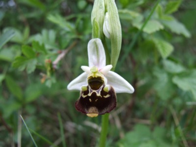 DSCF6820.JPG