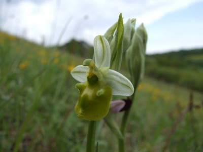DSCF6802.JPG