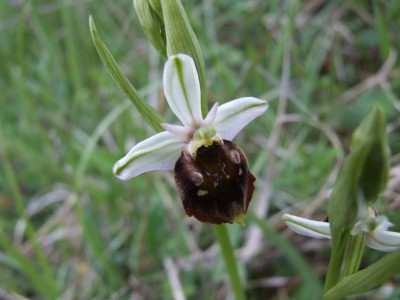 DSCF6888.JPG