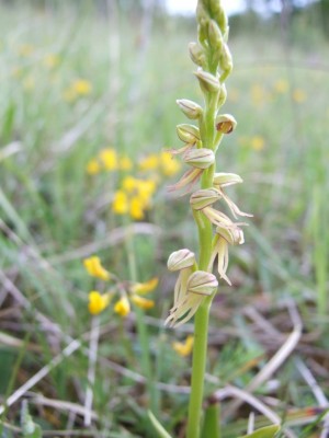 DSCF6876.JPG