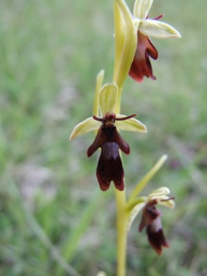 DSCF6872.JPG