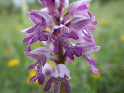 DSCF6868.JPG