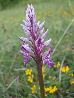 DSCF6865.JPG