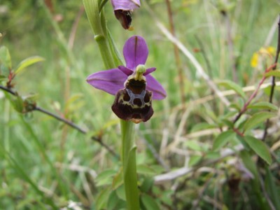 DSCF6855.JPG