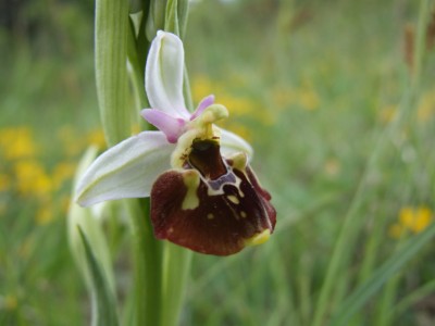 DSCF6850.JPG