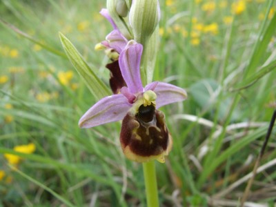 DSCF6845.JPG