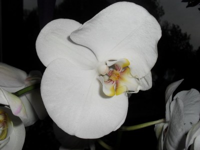 SDC13575_Bildgröße ändern.JPG