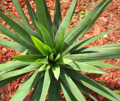 20100518_0001_1.JPG