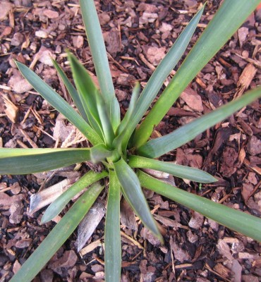20100518_0001_2.JPG