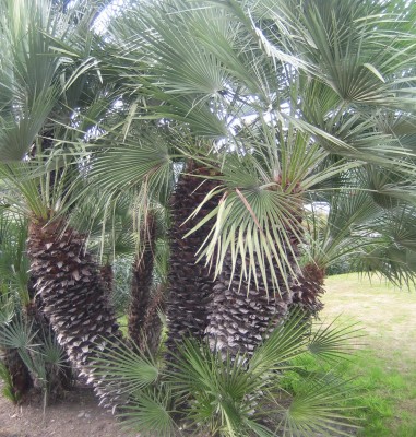 20100117_0001_3.JPG