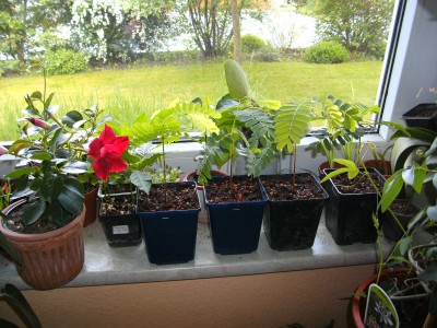 BILD1642.JPG