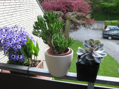 Bild 1.jpg