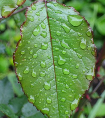 20100514_0001_5.JPG