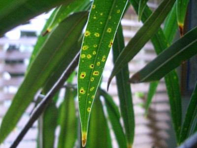 3_1024x768.jpg