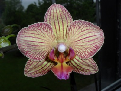 SDC13529_Bildgröße ändern.JPG