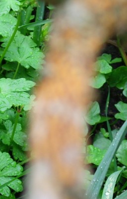 DSCI0006.JPG