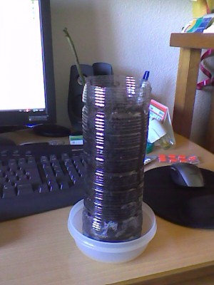 Imagen008.jpg