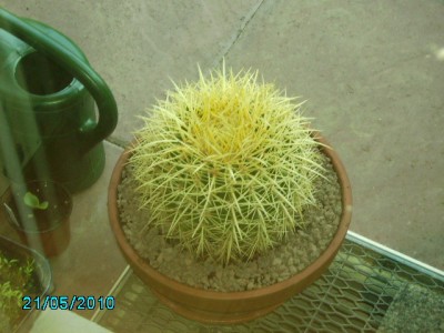 PICT0005.JPG