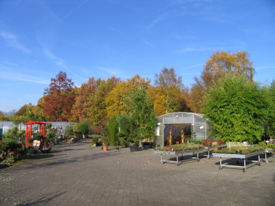 1066 herbstlicher Blick nach Westen.JPG