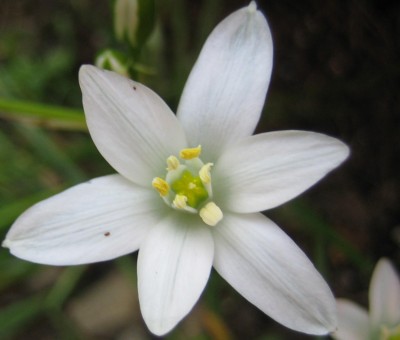 20100522_0001.JPG