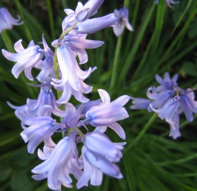 20100522_0001_2.JPG
