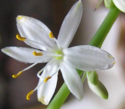 20100512_0001_17.JPG