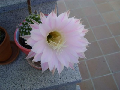 DSC04551.jpg