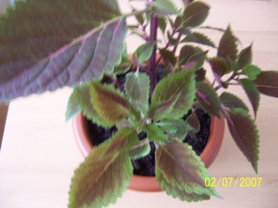 100_0764.JPG