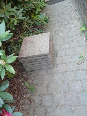 23.5.g 002.JPG