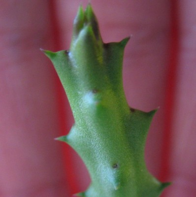 20100523_0001_4.JPG