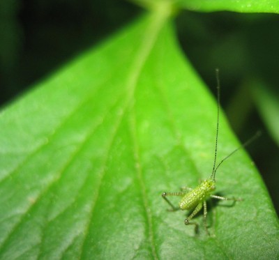 20100523_0001_13.JPG