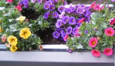20100524_0001.JPG