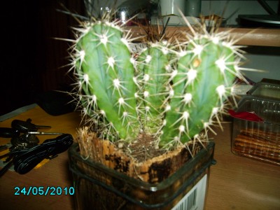 PICT0025.JPG