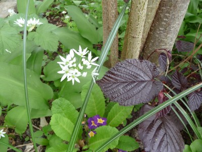 Mai2010 (34).JPG