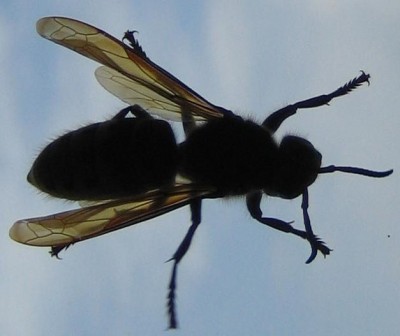 20100525_0001_6.JPG