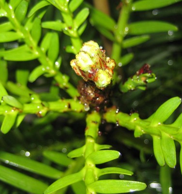 20100526_0001_5.JPG