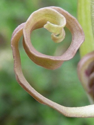 Kopie von Mai2010 (89).JPG